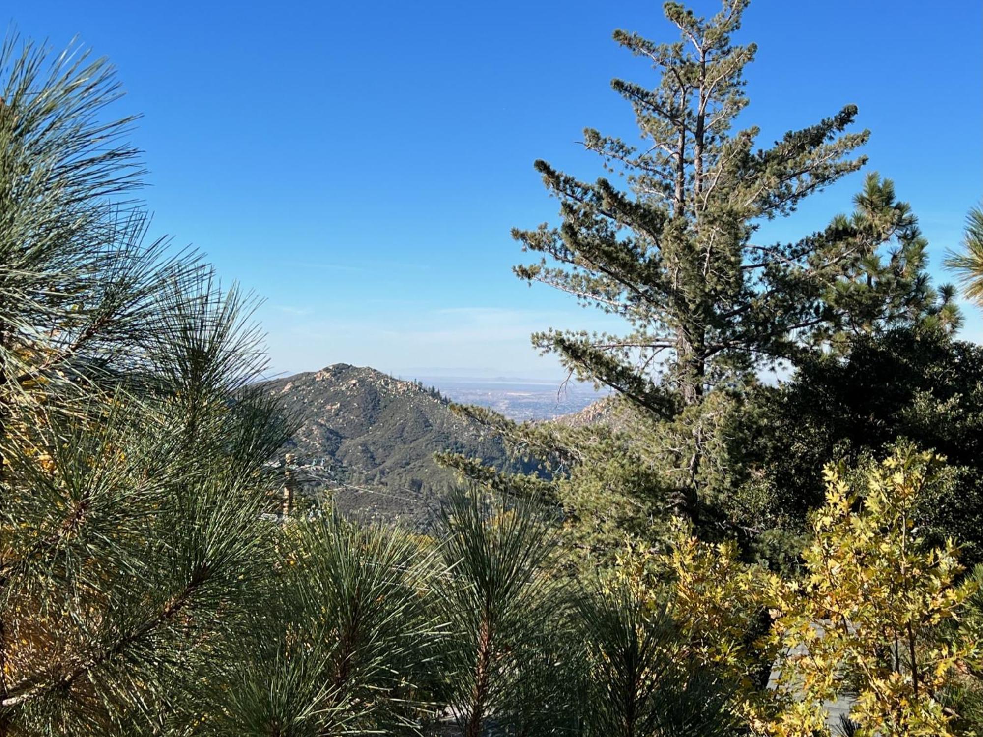 Ev Level 2, Pets Welcome At Sunset Ridge Holiday home